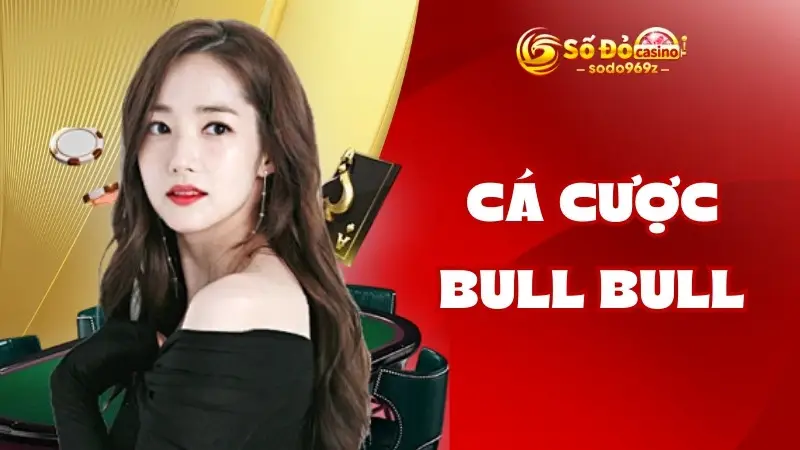 Cá cược bull bull