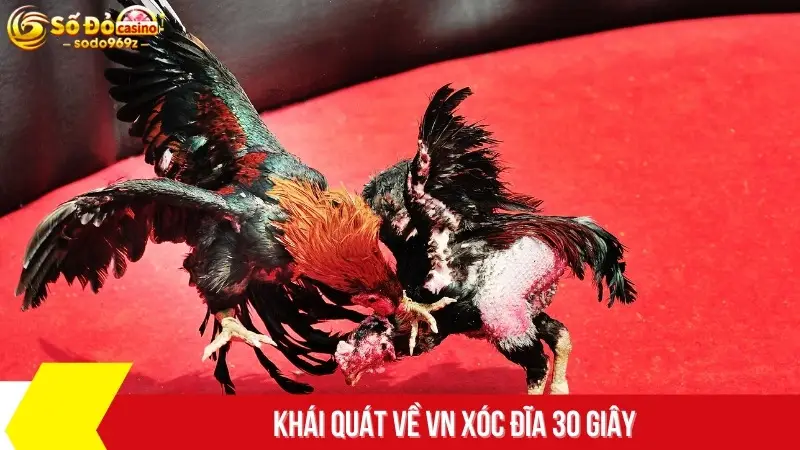 Khái quát về VN xóc đĩa 30 giây